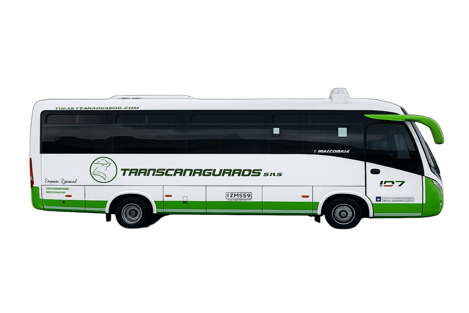 Bus